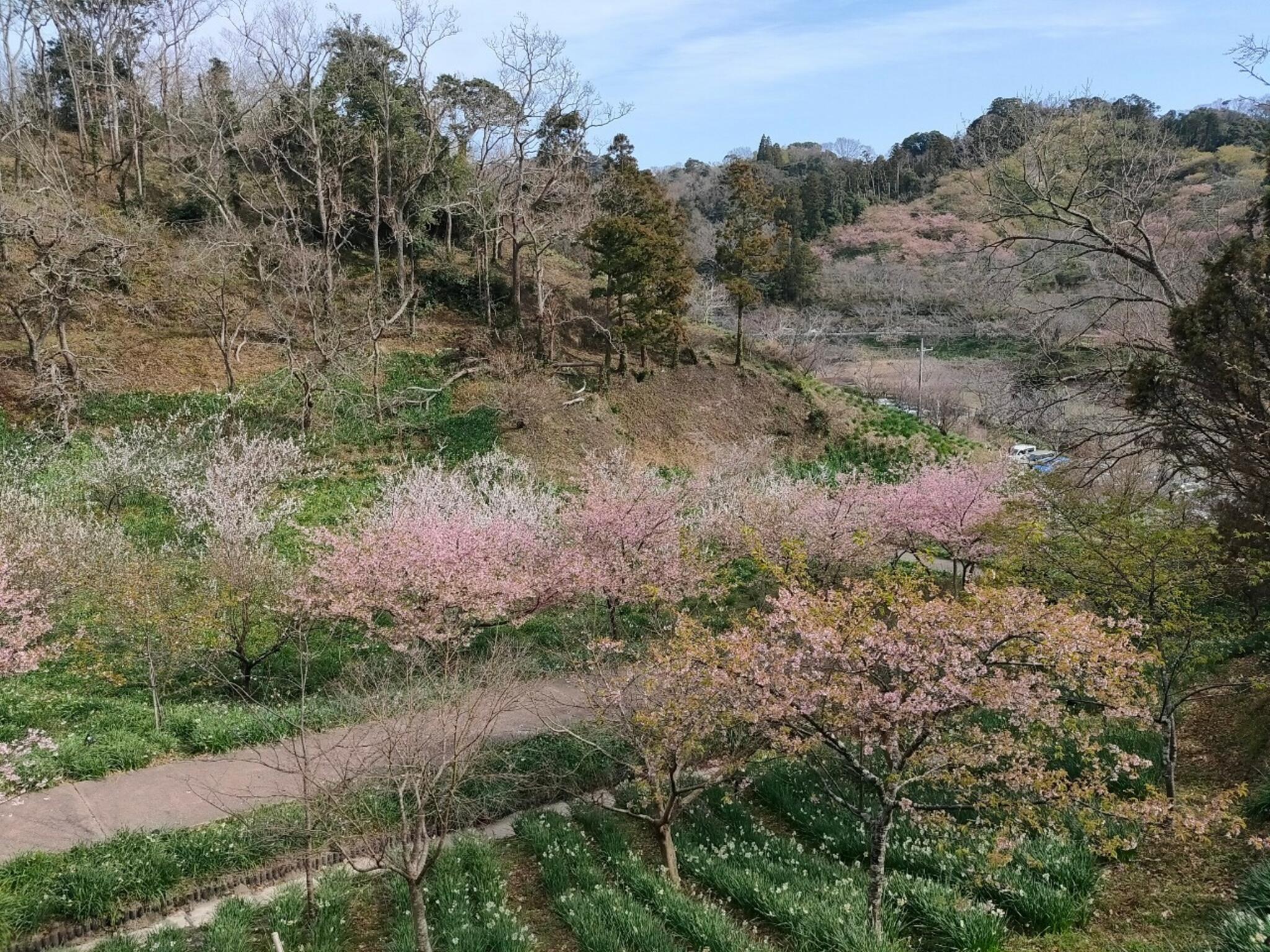 佐久間ダム公園の代表写真3