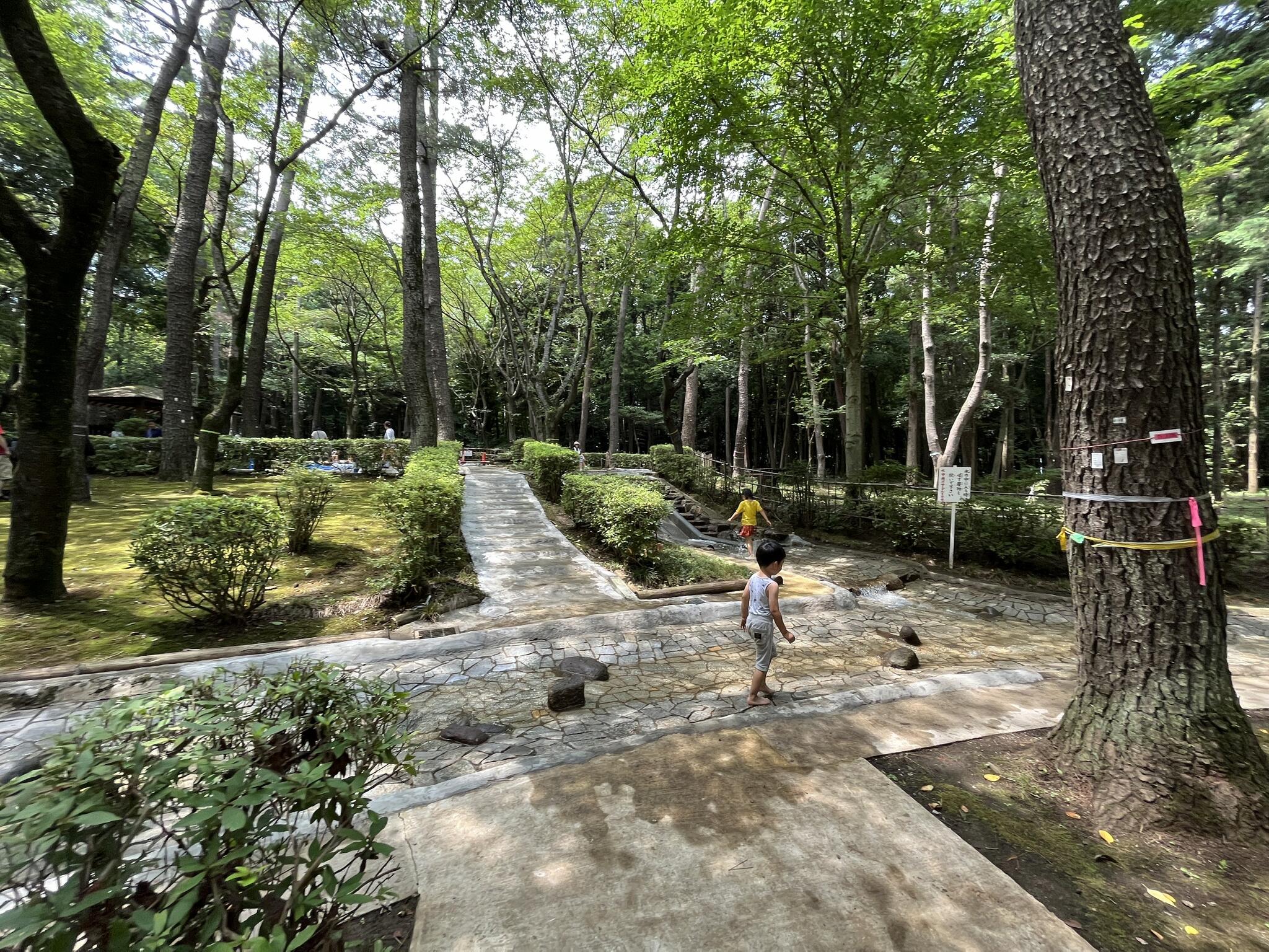 手賀の丘公園の代表写真3