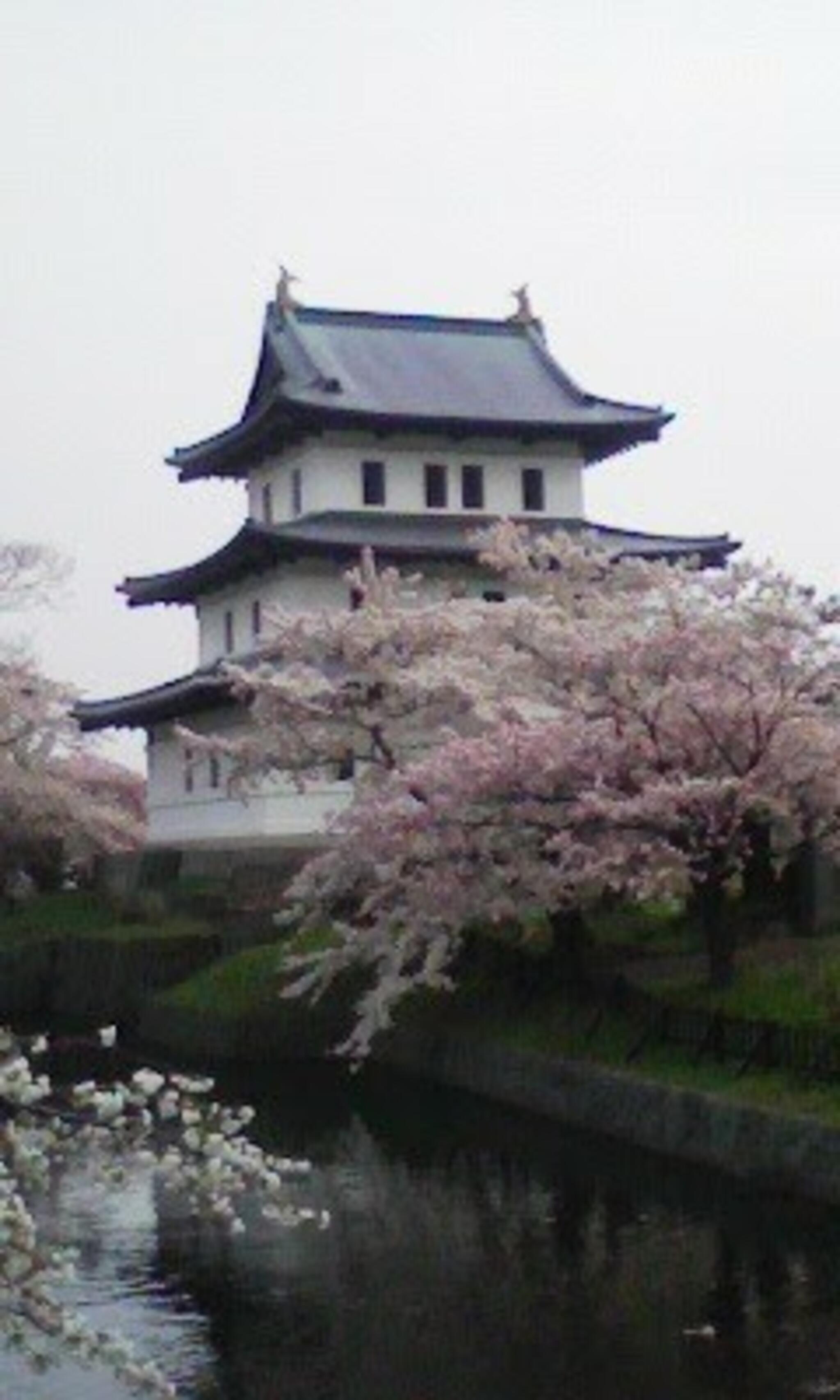 松前城の代表写真10