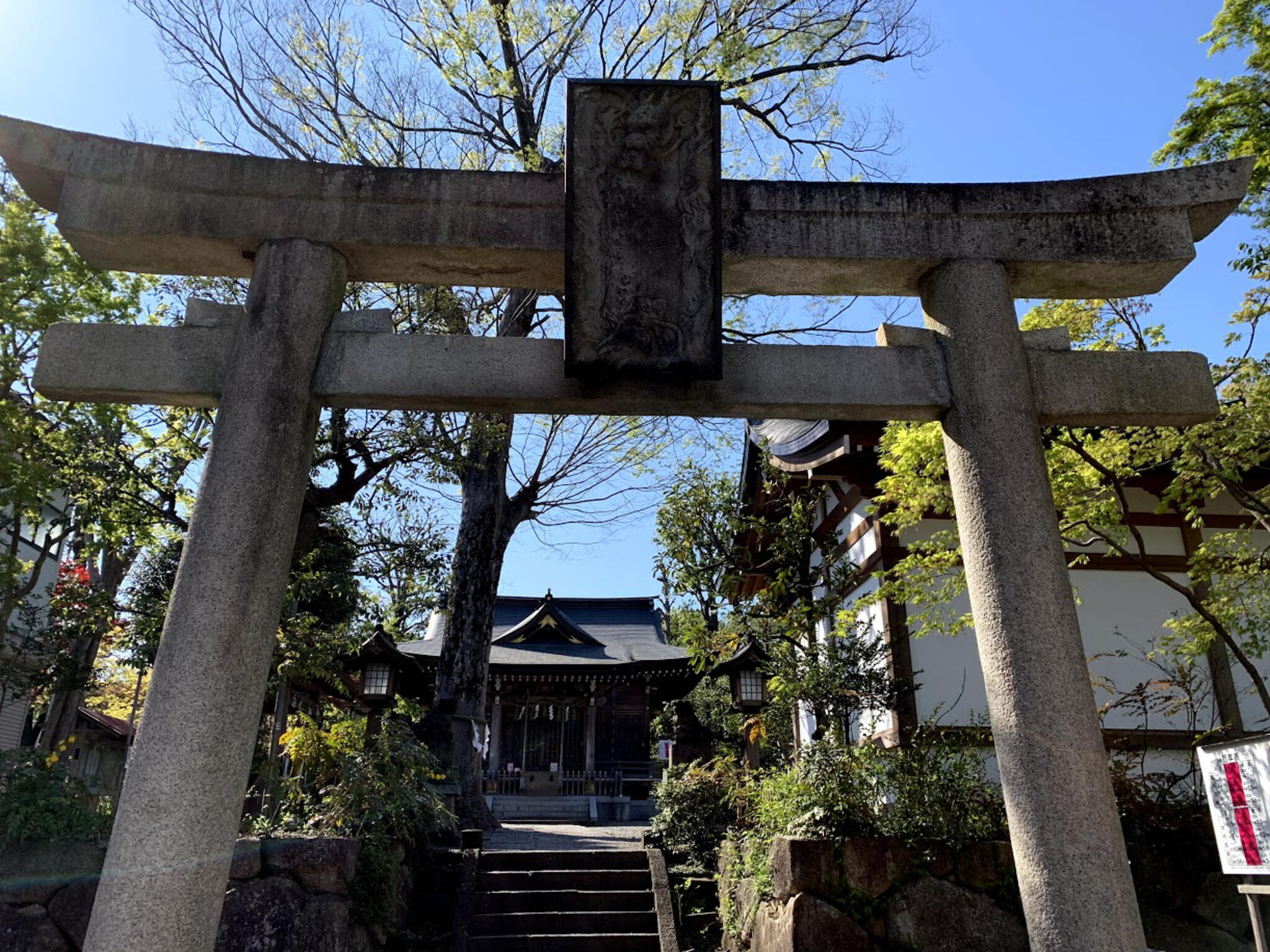 青渭神社の代表写真7