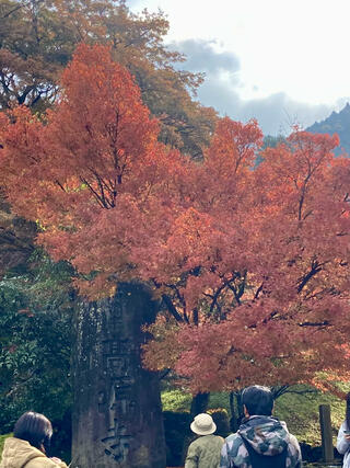 高源寺のクチコミ写真1