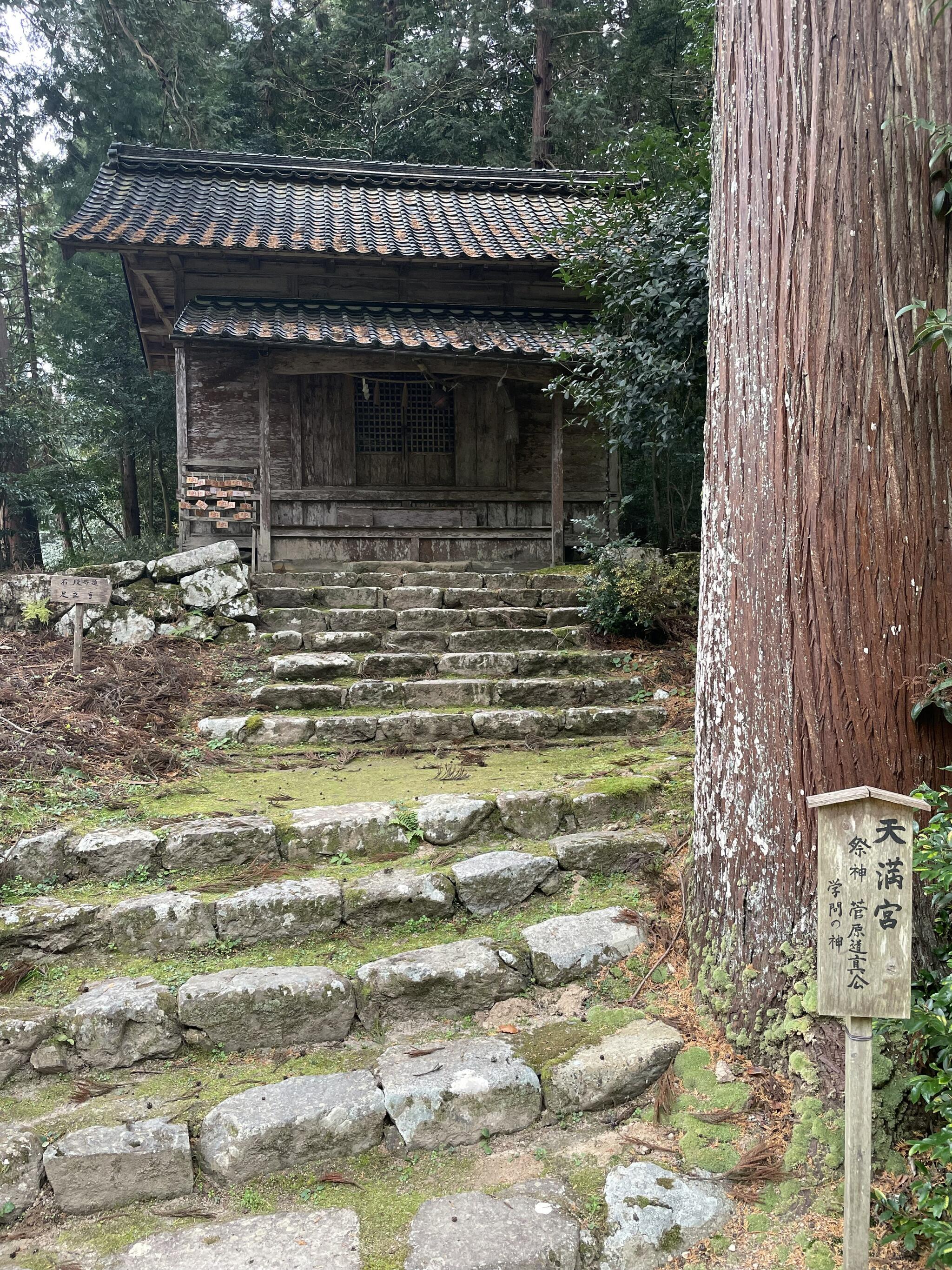 粟鹿神社の代表写真4