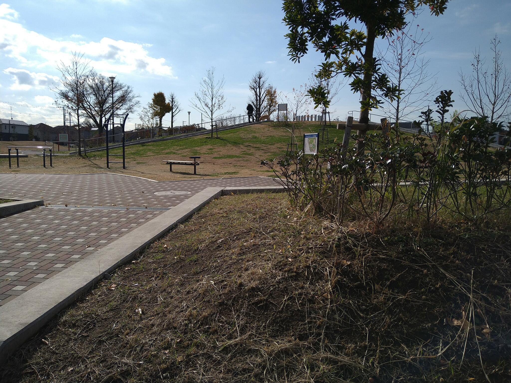 岡村西公園の代表写真9