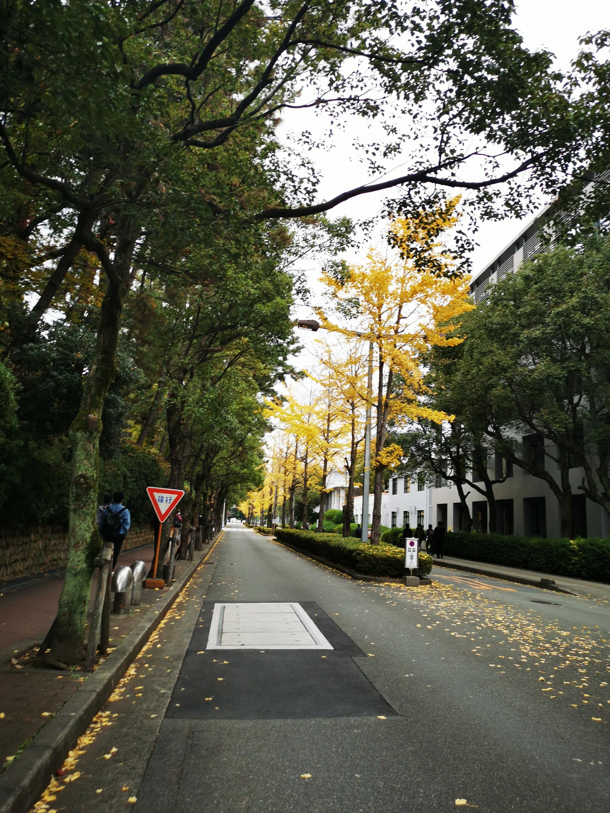 大阪大学 豊中キャンパスの代表写真6