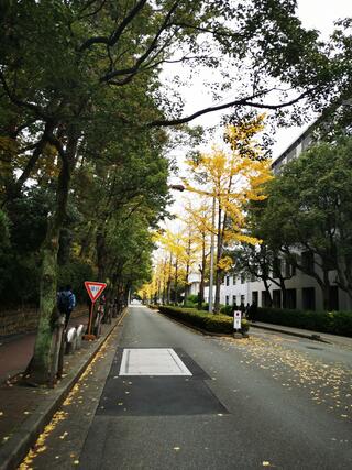 大阪大学 豊中キャンパスのクチコミ写真2
