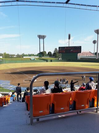 埼玉県営大宮公園野球場のクチコミ写真1