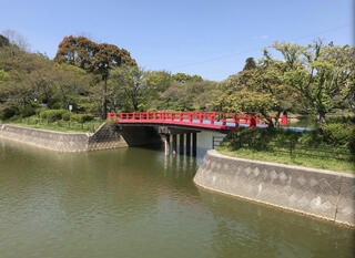 甘木公園のクチコミ写真1