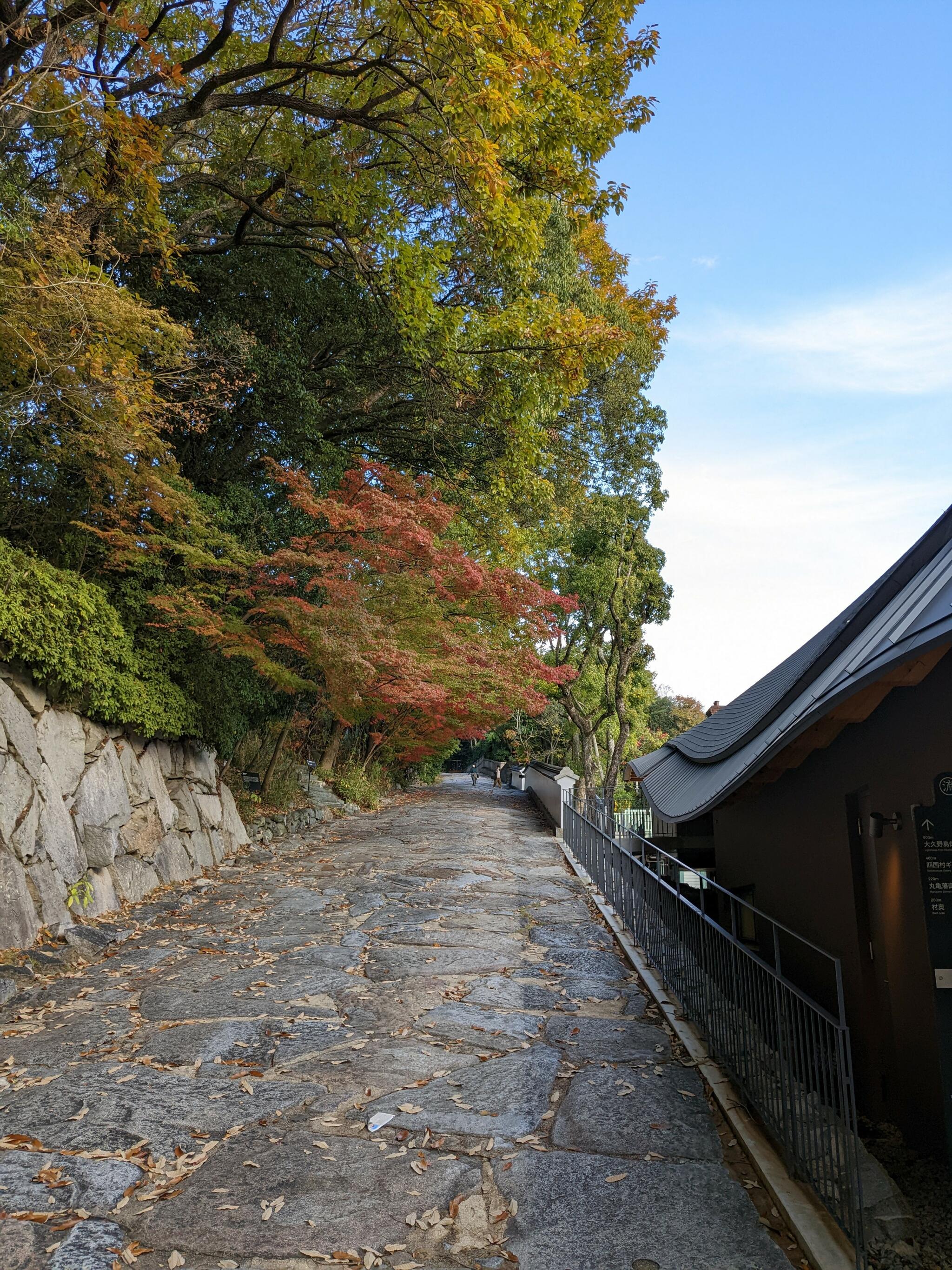 天拝山歴史自然公園の代表写真5