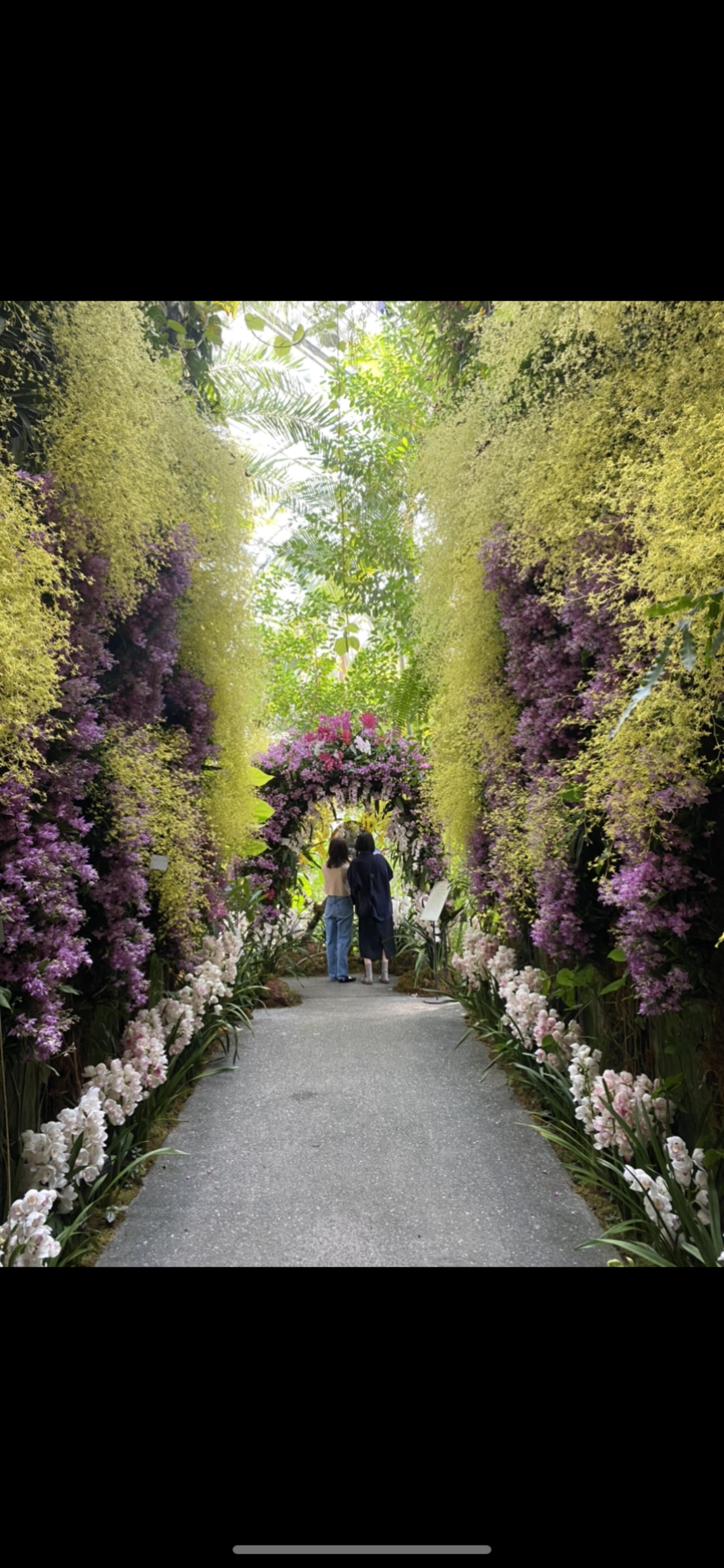 高知県立牧野植物園の代表写真2