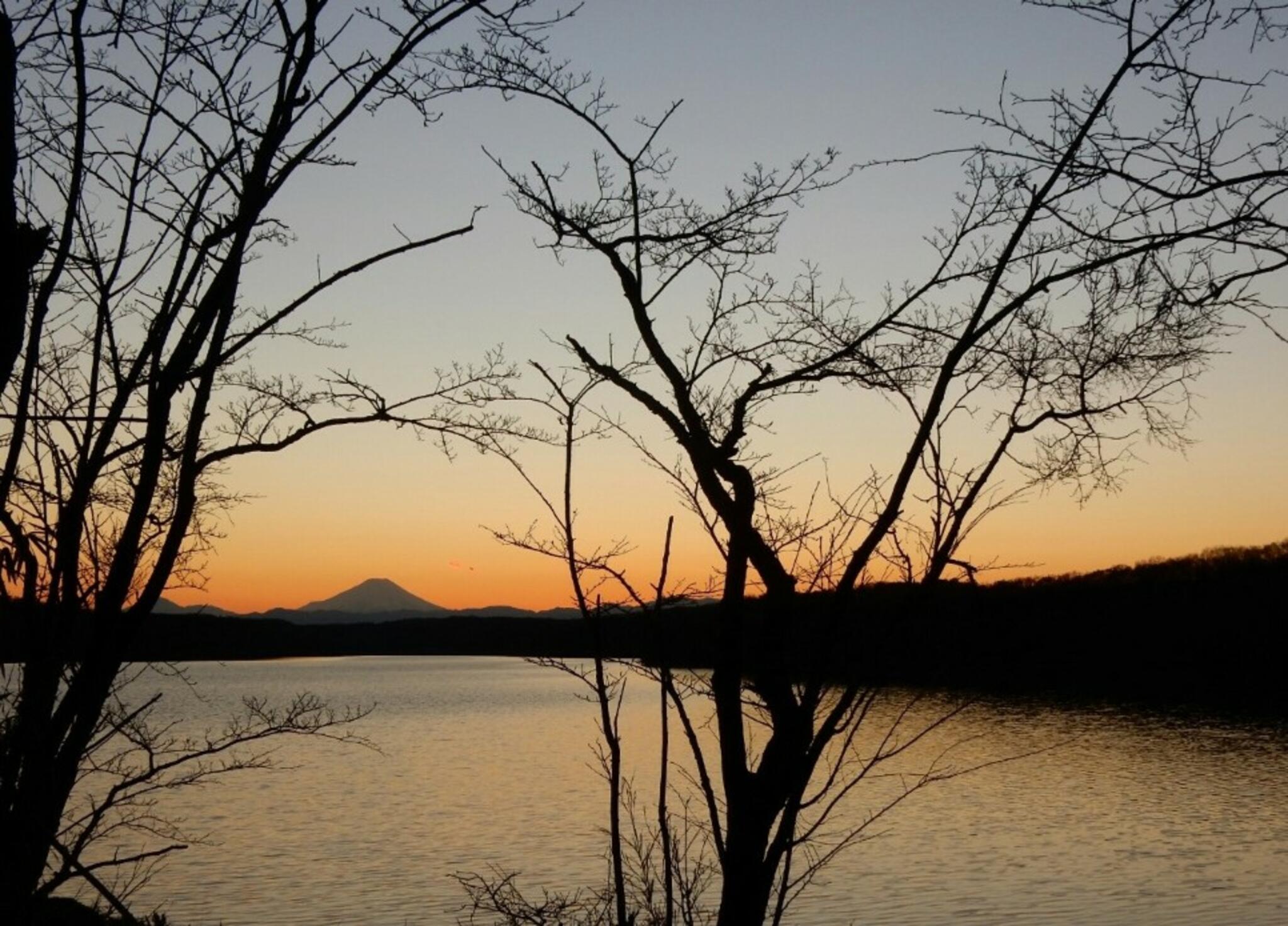 県立狭山自然公園の代表写真1