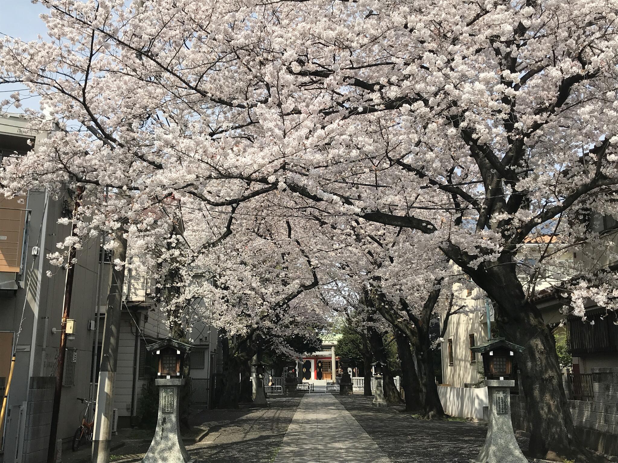 法明寺の代表写真2