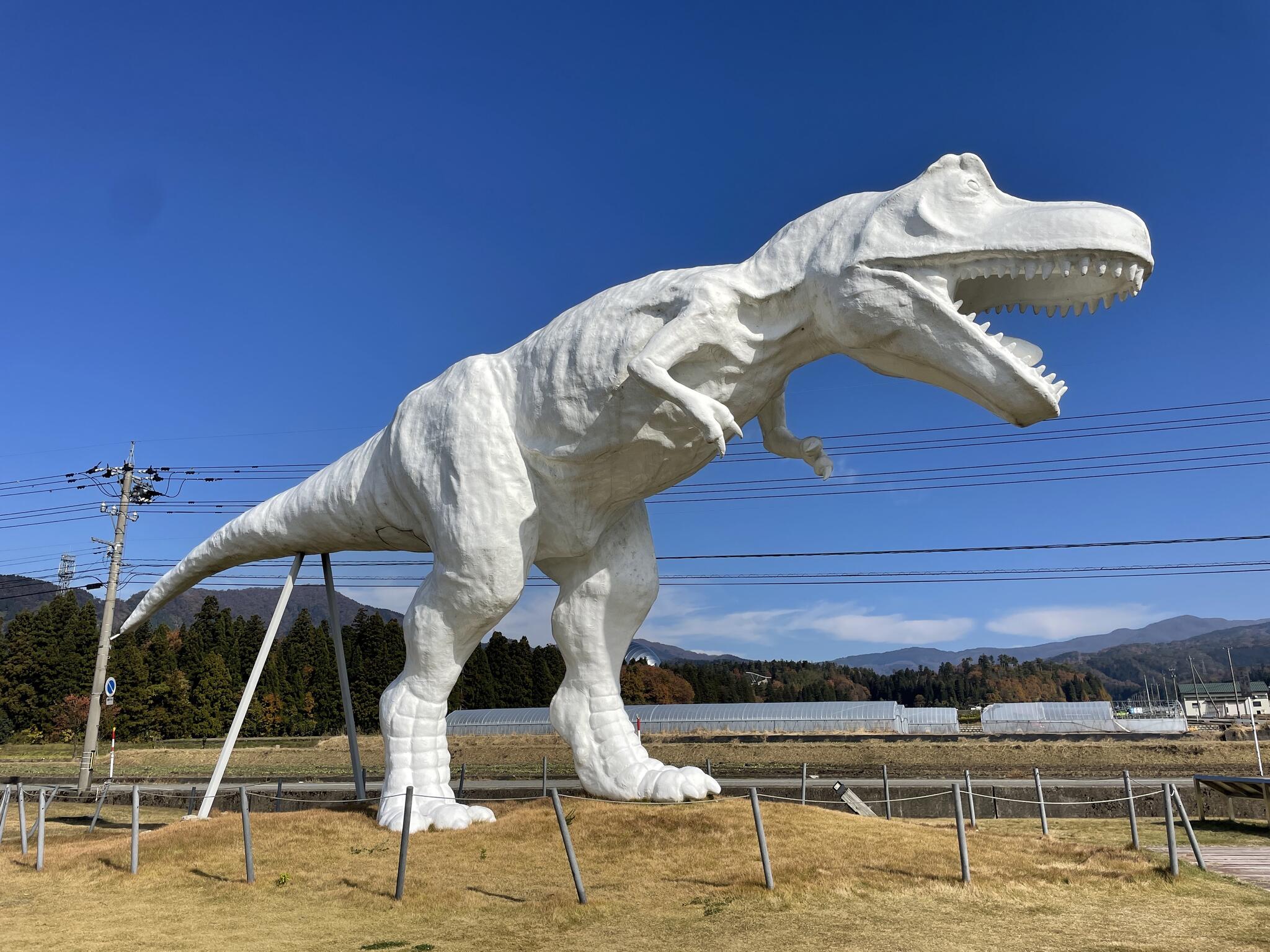 恐竜渓谷ふくい勝山ジオパークの代表写真8