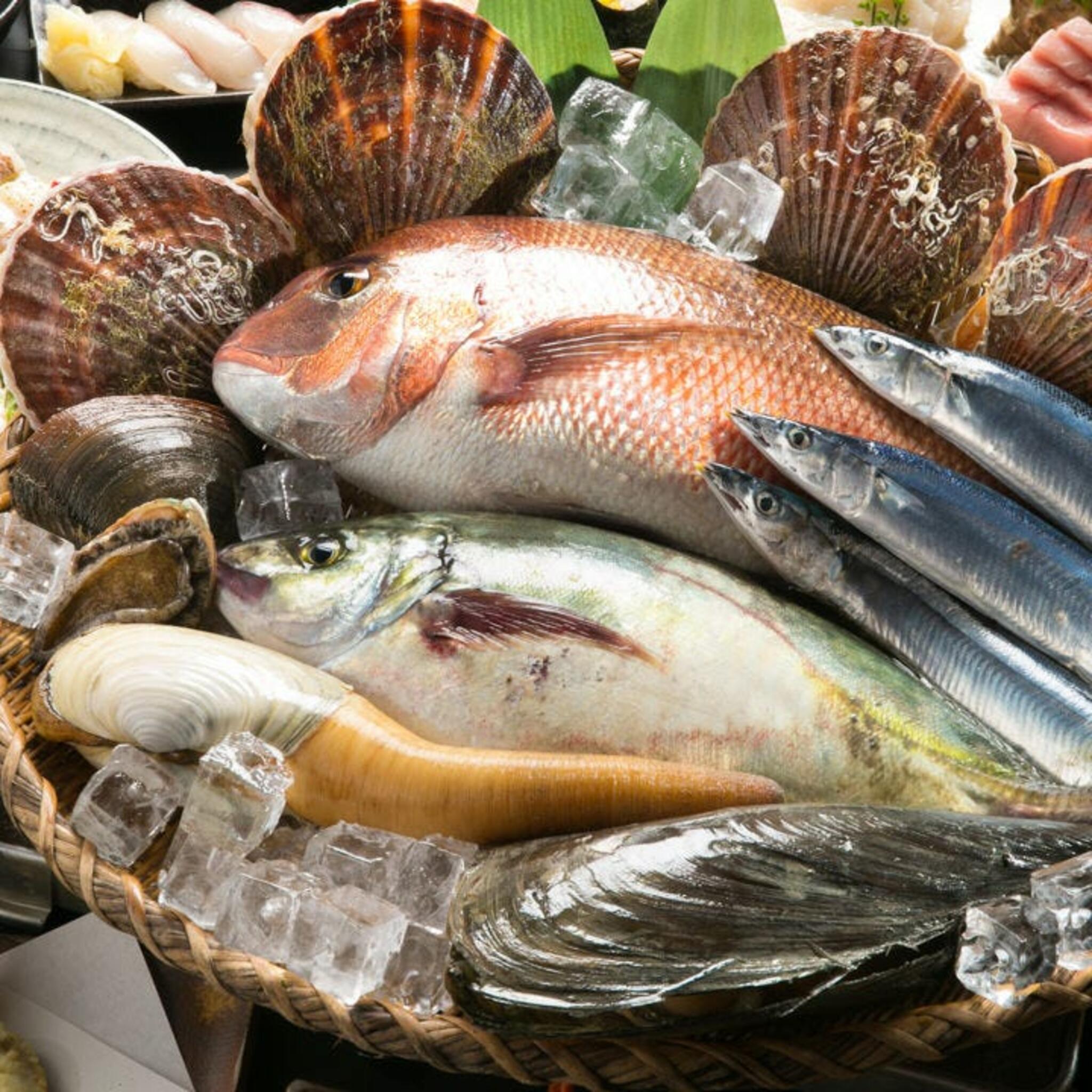 鮨と肴おどる魚の代表写真10