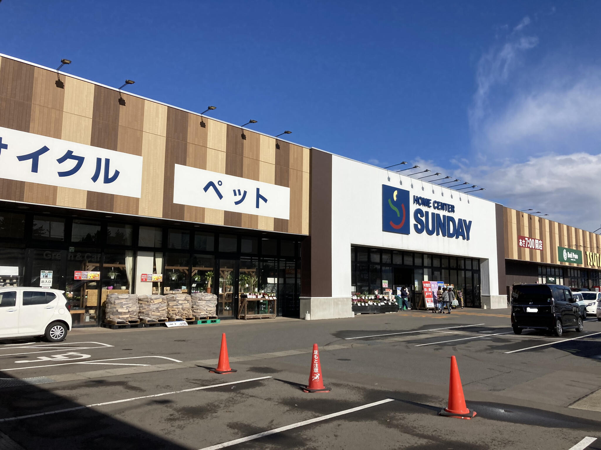 サンデー 樹木 コレクション 店 ペット