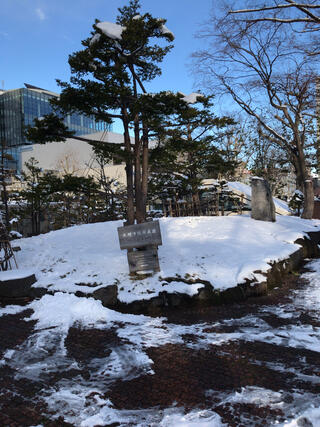 札幌市役所のクチコミ写真5