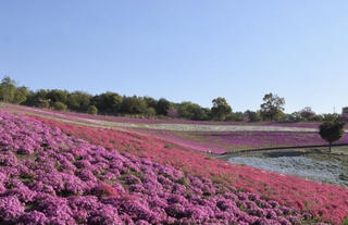 太田市 八王字山公園管理事務所のクチコミ写真1