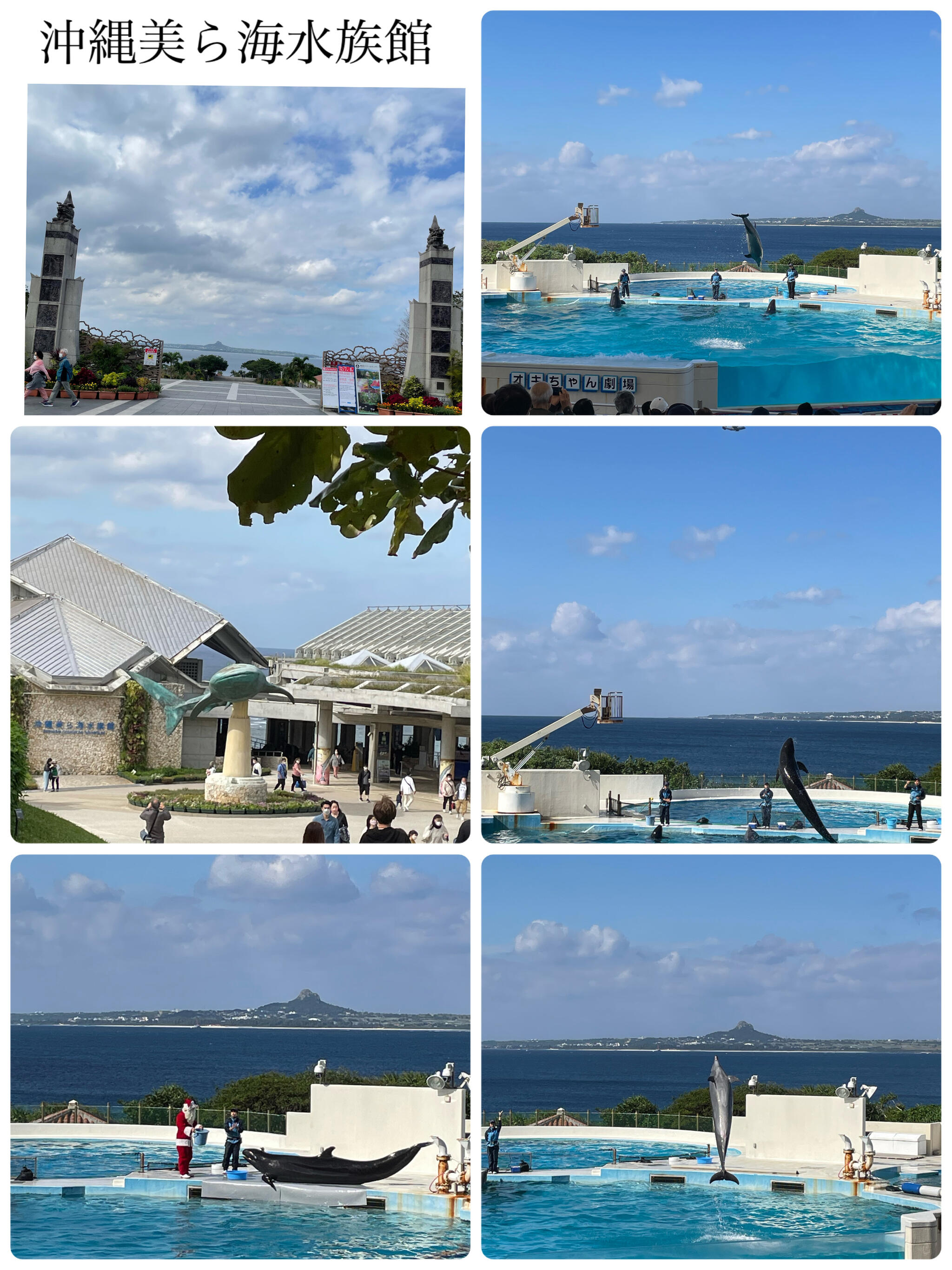 国営沖縄記念公園海洋博公園の代表写真1