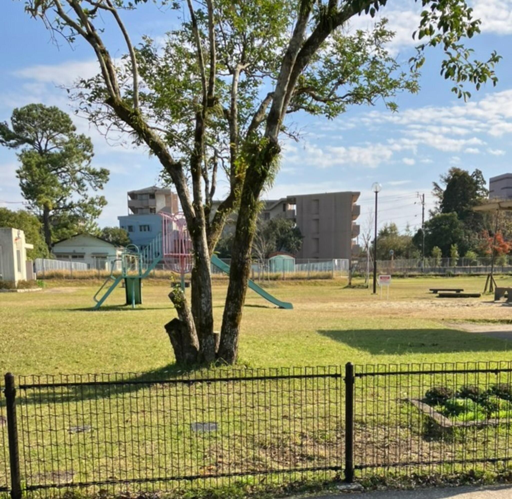 霧島児童公園の代表写真1