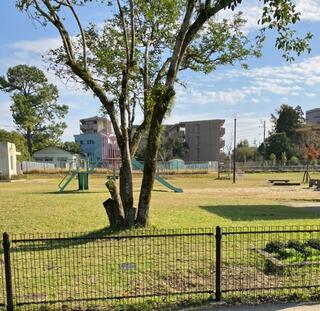 霧島児童公園のクチコミ写真1