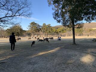 万力公園のクチコミ写真1