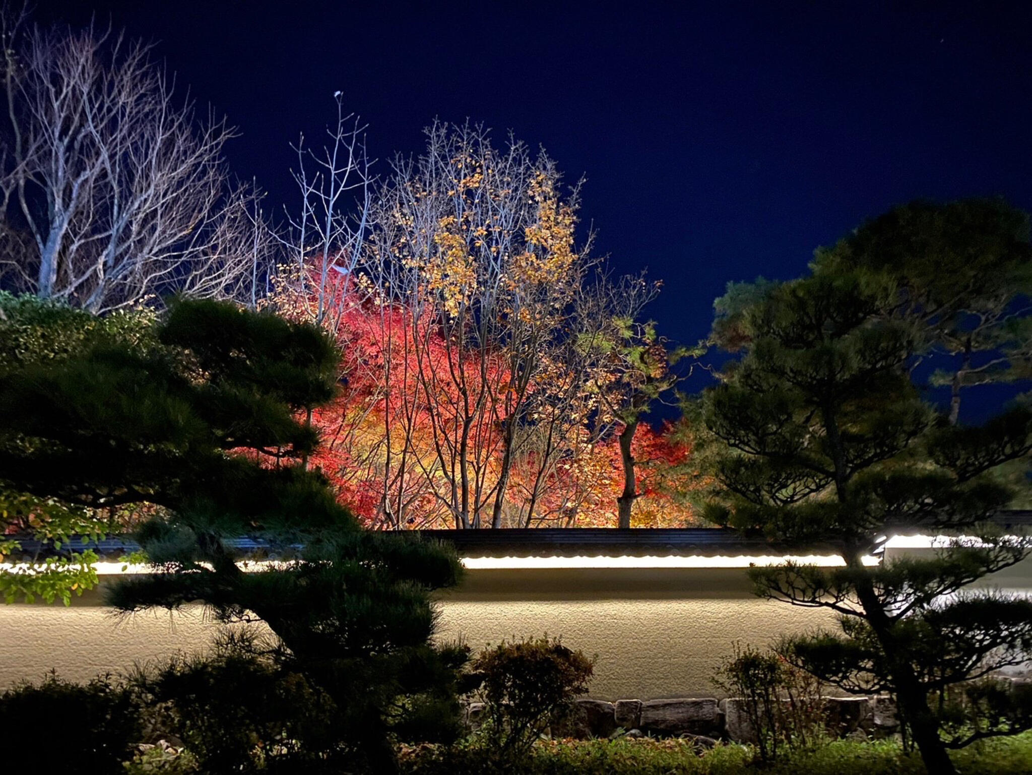 姫路城西御屋敷跡庭園 好古園の代表写真5