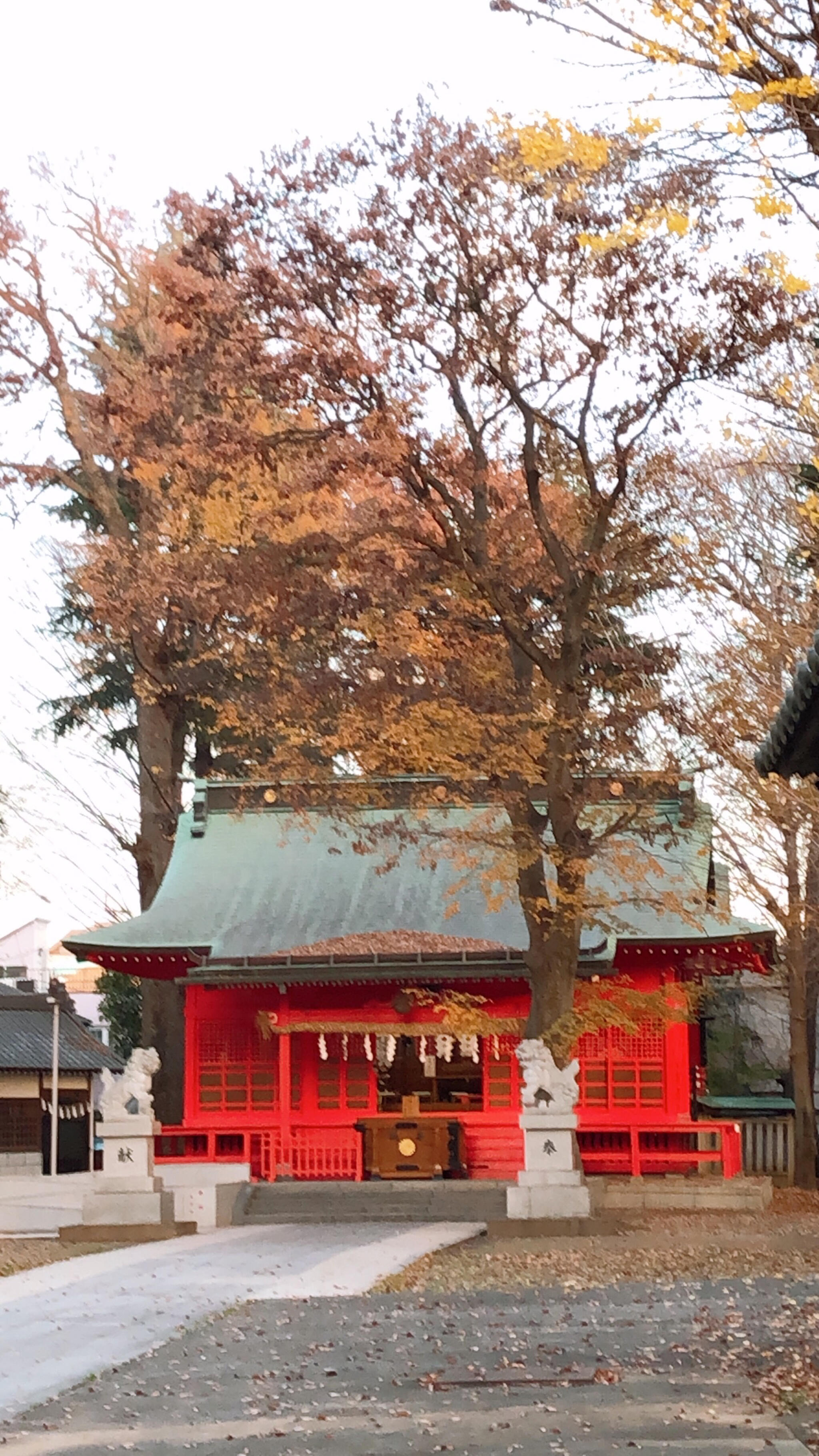 小野神社の代表写真6