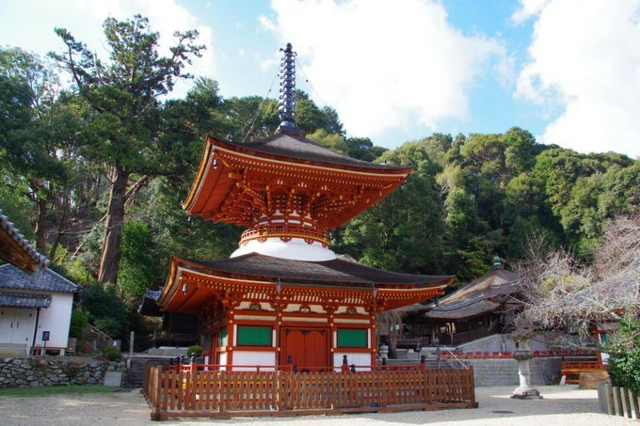 天野山 金剛寺の代表写真5