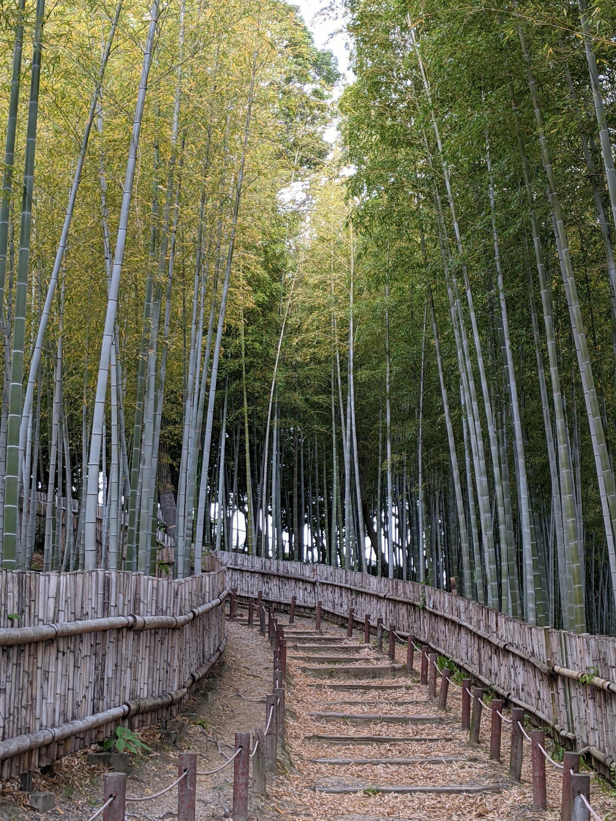 大阪府営 寝屋川公園の代表写真4