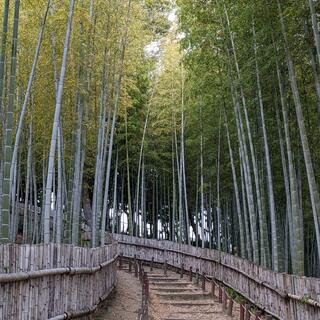 大阪府営 寝屋川公園の写真4