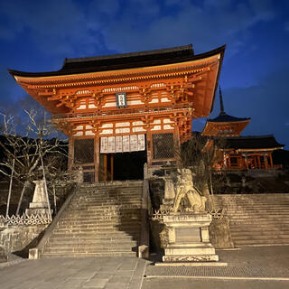 八坂神社の写真3
