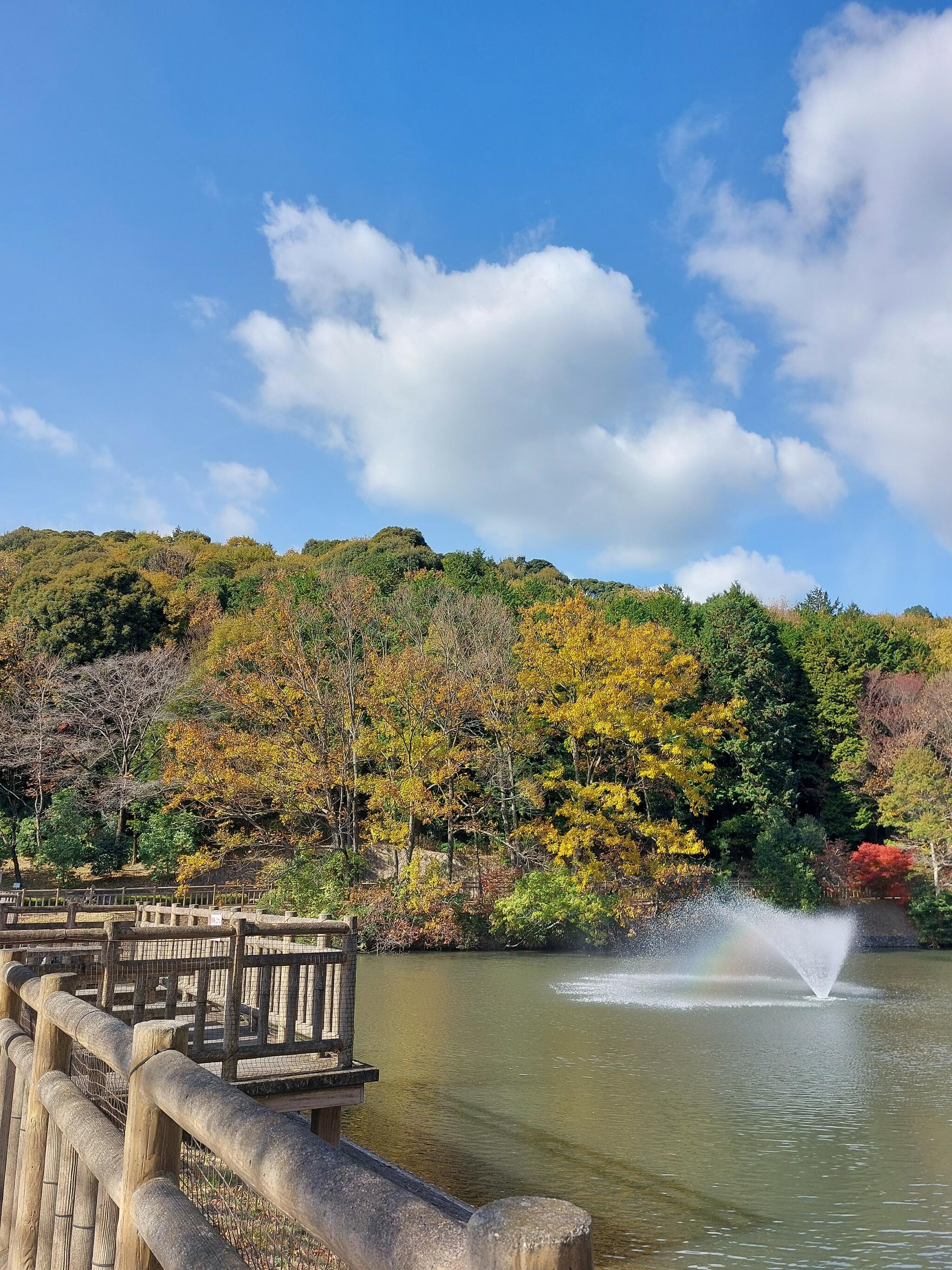 赤塚山公園の代表写真1