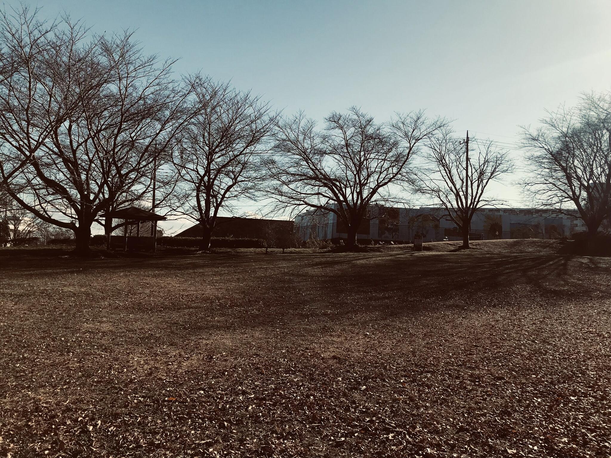 県立座間谷戸山公園の代表写真7