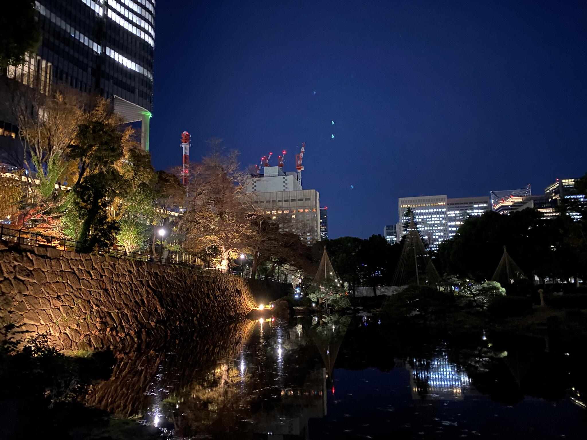 日比谷公園の代表写真6