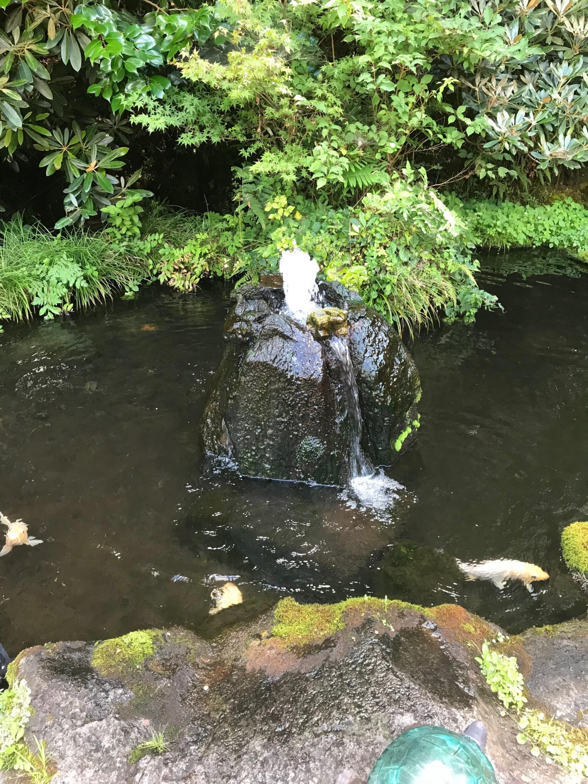 白泉荘の代表写真1