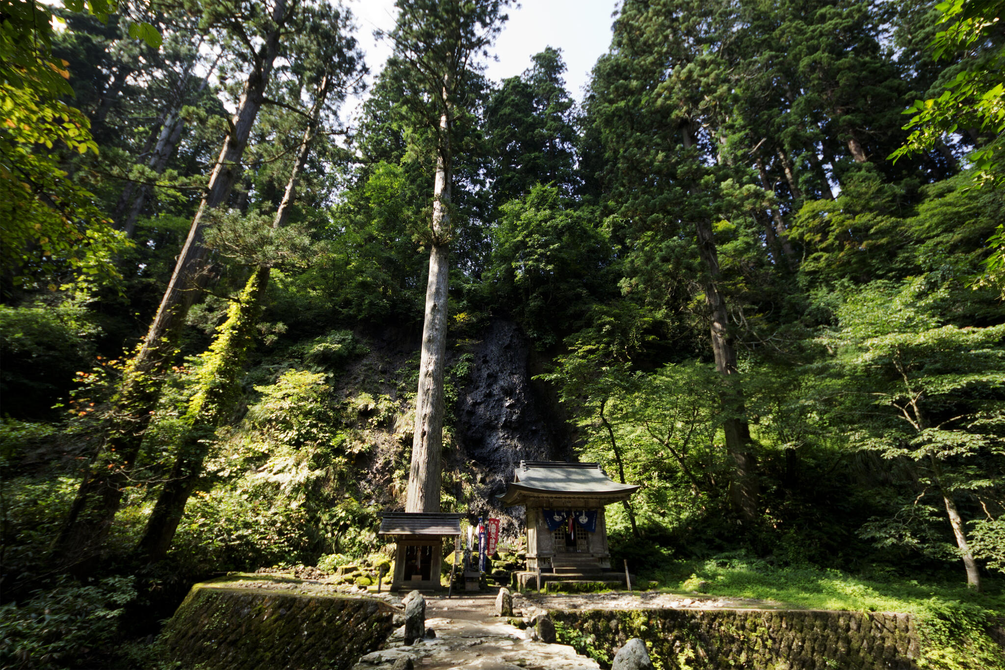 出羽三山神社の代表写真4