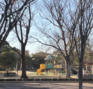 宮崎中央公園のクチコミ写真1