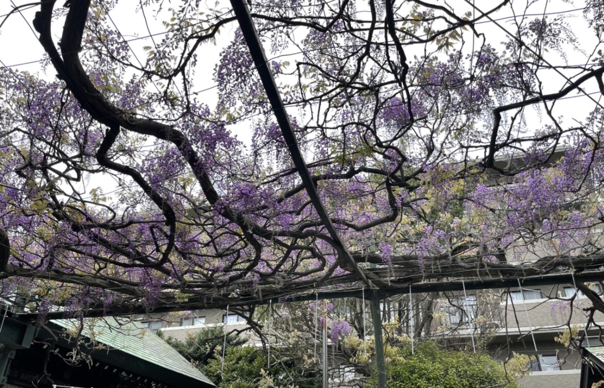 國領神社の代表写真2