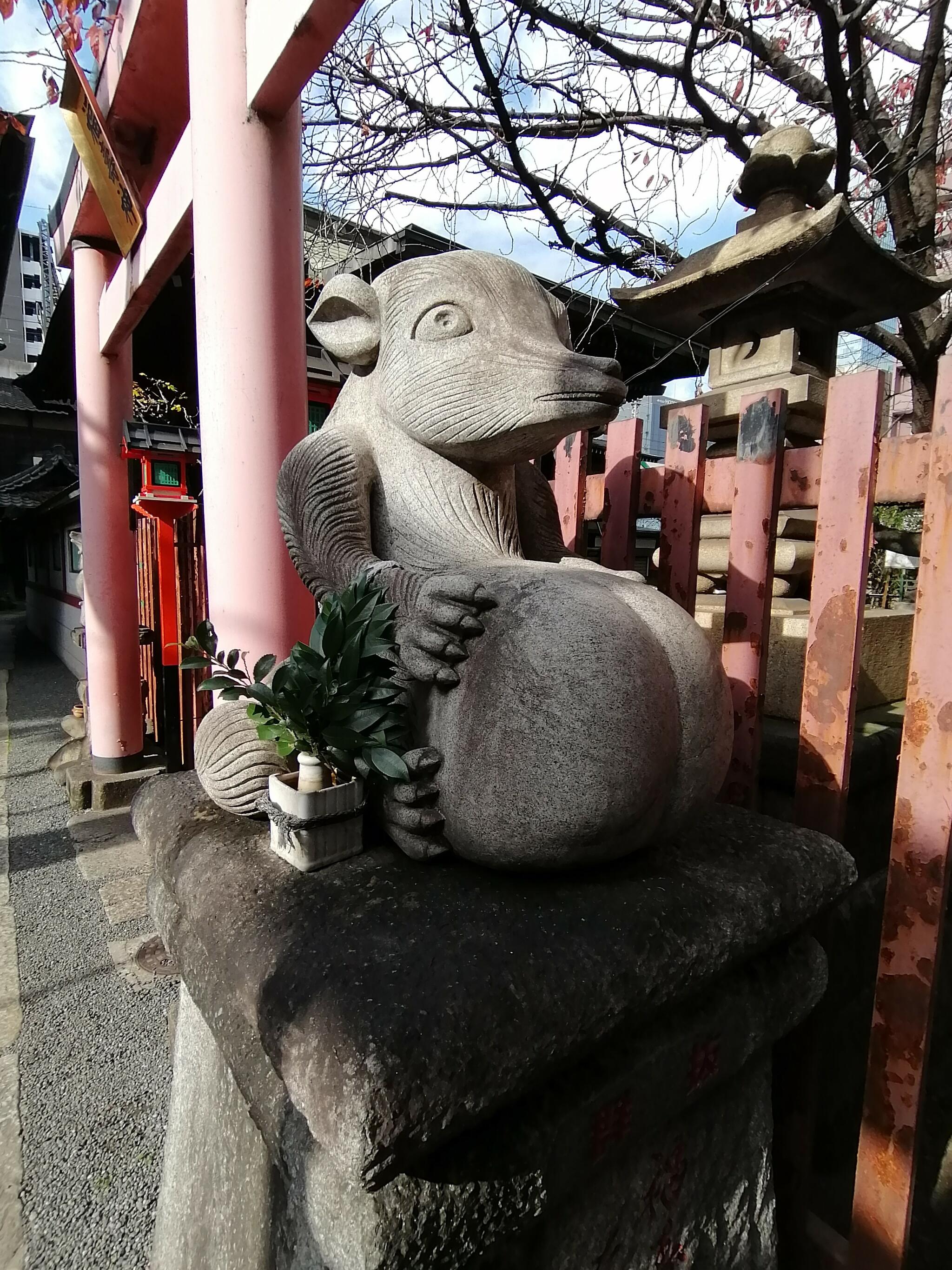 柳森神社の代表写真7