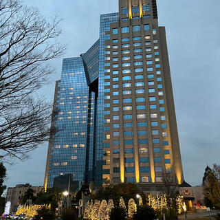 ホテルトラスティ 東京ベイサイドの写真10