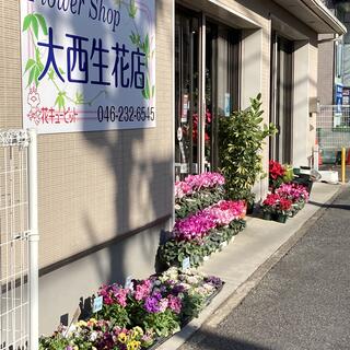 大西生花店の写真1