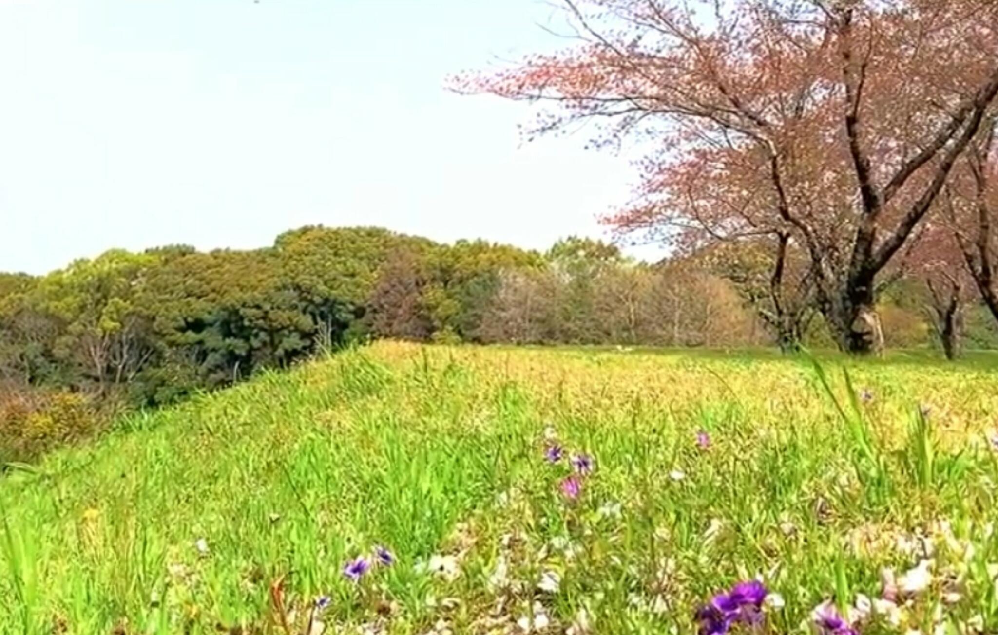 長崎県立百花台公園の代表写真6