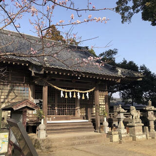 賀来神社の写真1
