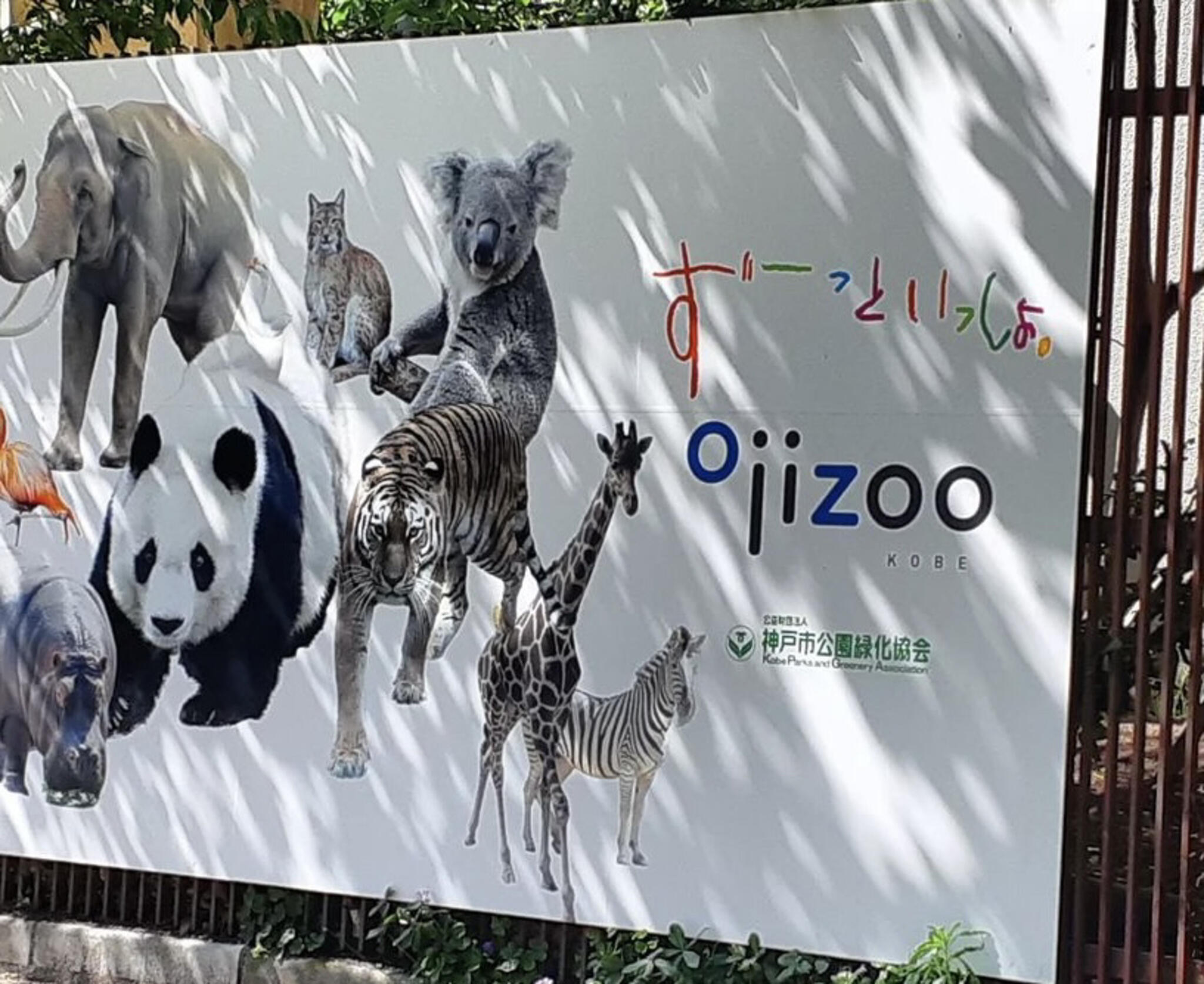 神戸市立王子動物園の代表写真2