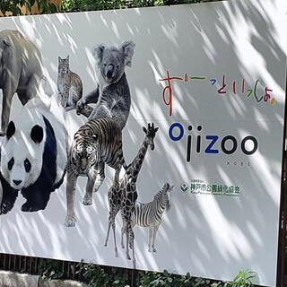 神戸市立王子動物園の写真2