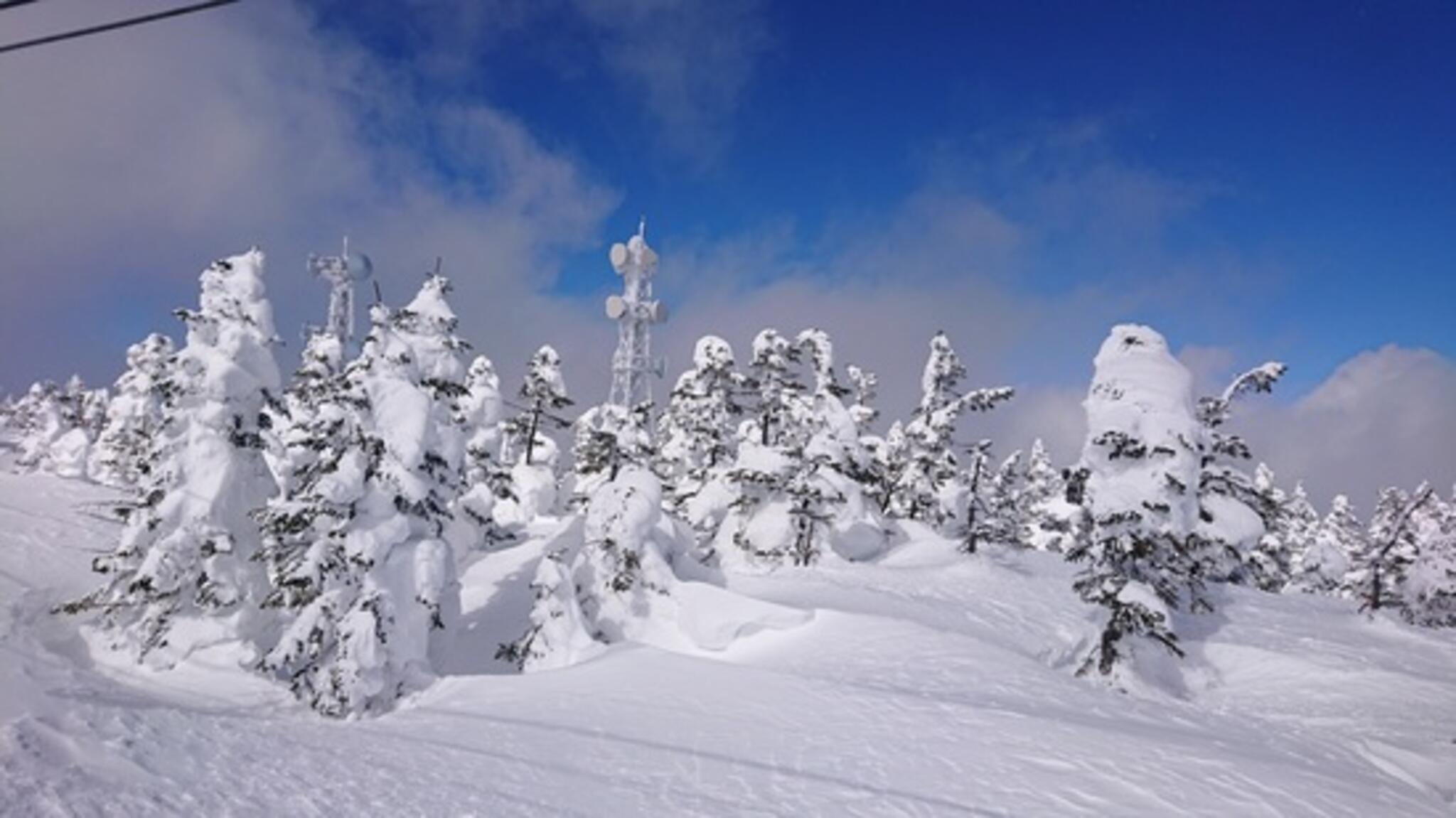 横手山・渋峠スキー場の代表写真2