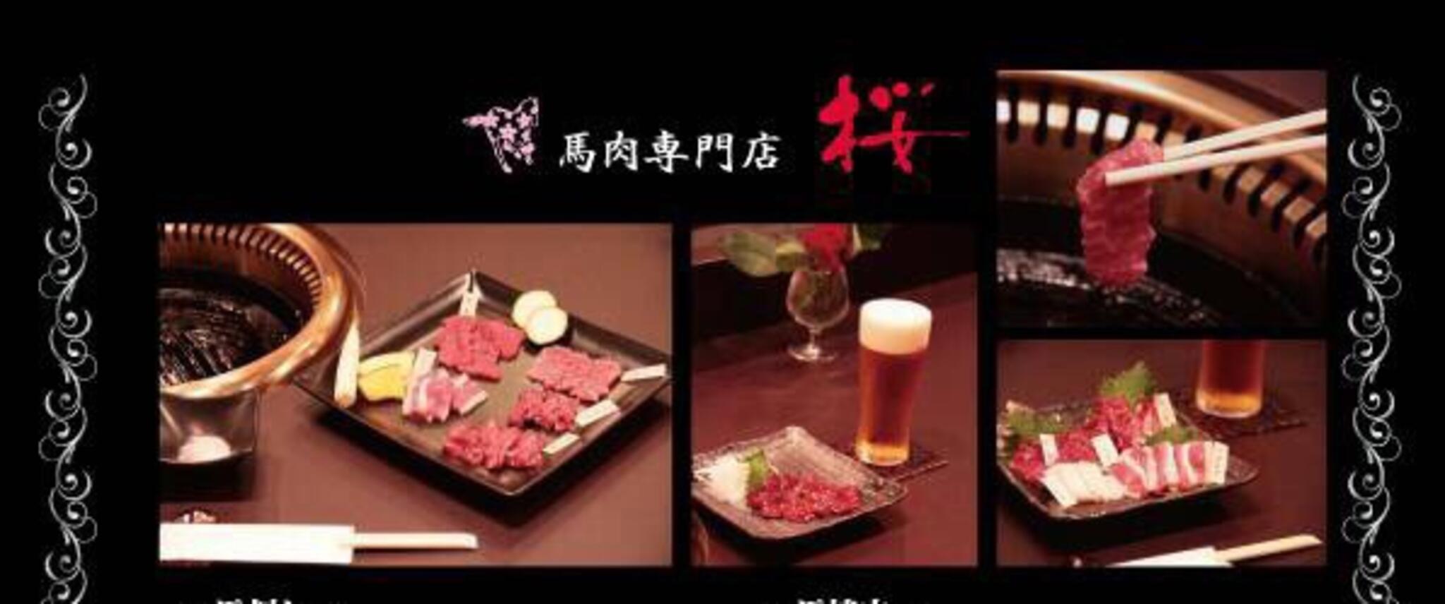 馬肉専門店 桜の代表写真2