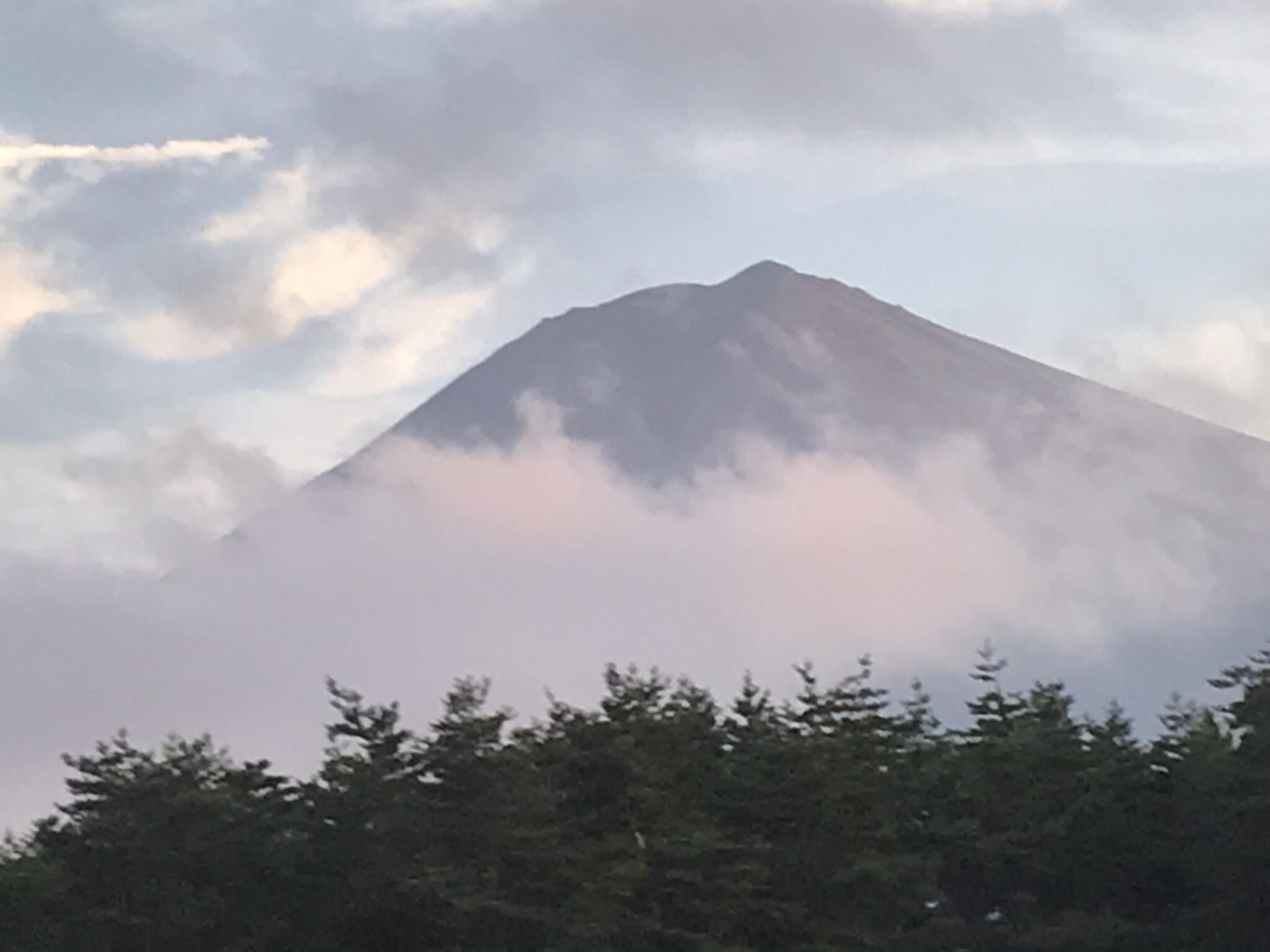 エバーグリーン富士の代表写真6