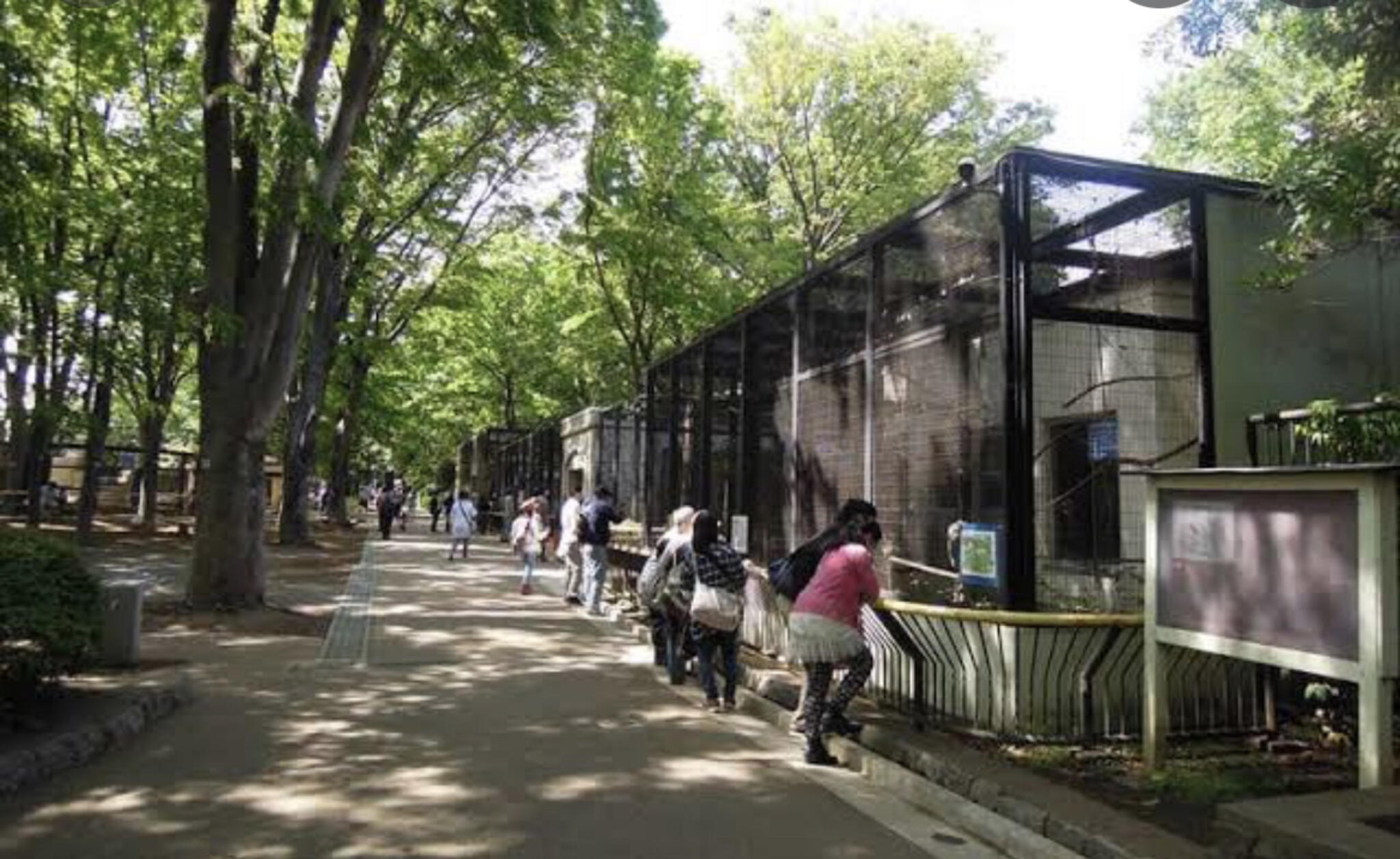 川崎市夢見ヶ崎動物公園の代表写真1