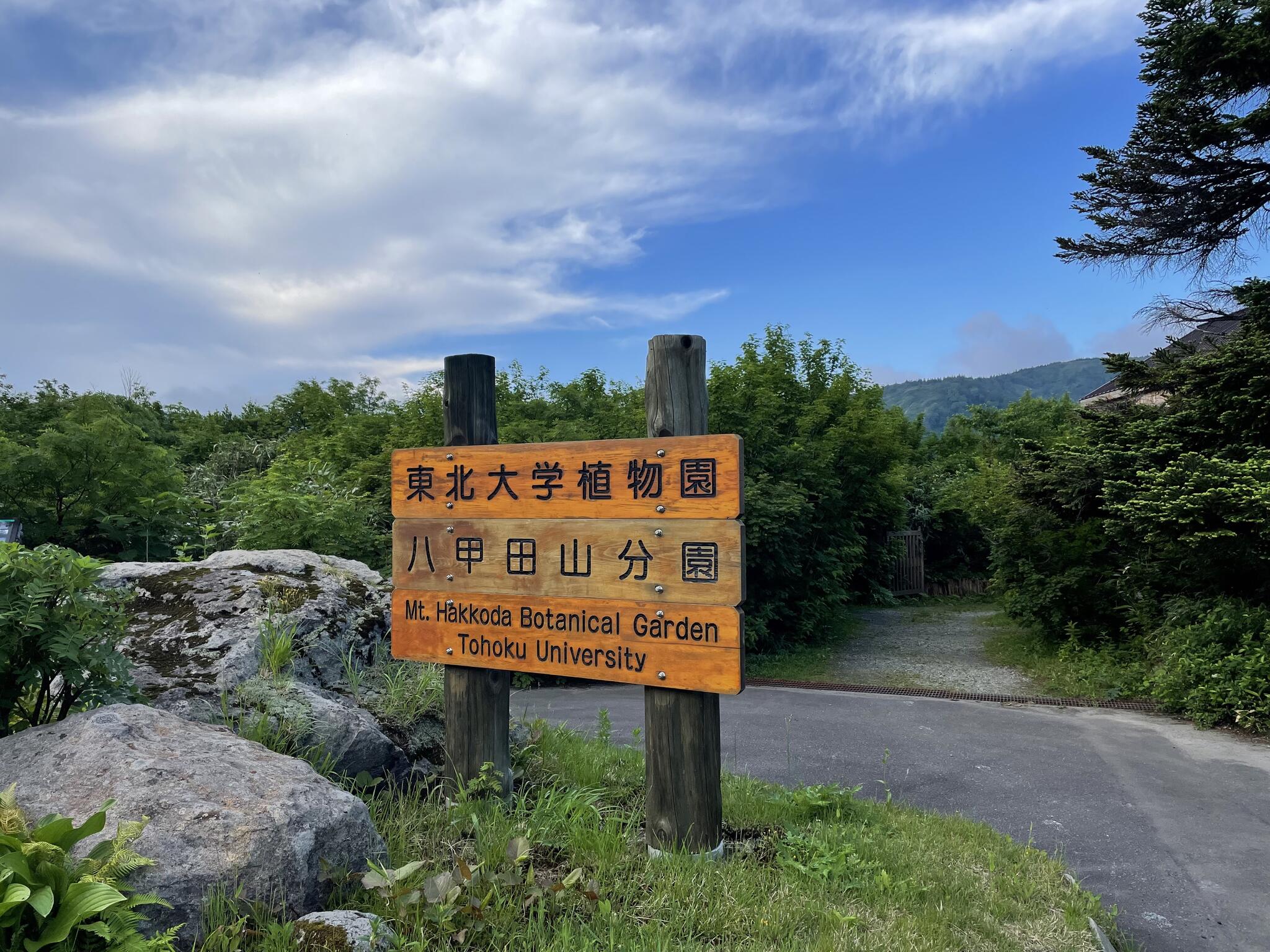 東北大学植物園八甲田山分園の代表写真7