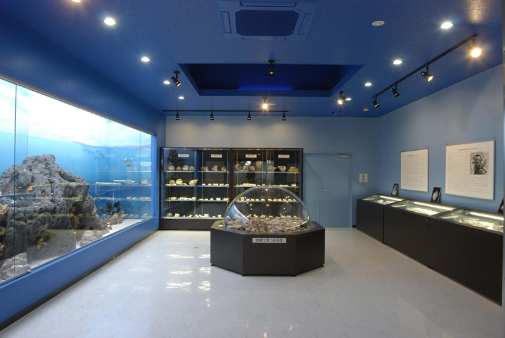 真鶴町立遠藤貝類博物館の代表写真1